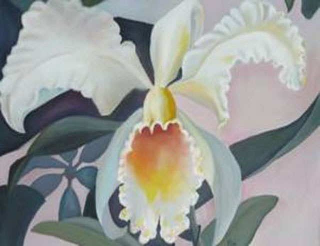 Orchidee 45x38 Öl